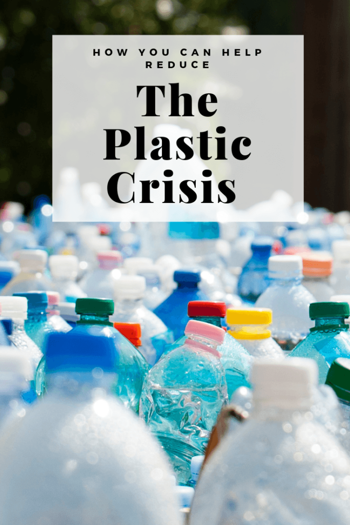 how you can help reduce the plastic crisis. amazon prime day, single use plastic, sustainable, reusable, eco friendly, oceans, the great pacific garbage patch, 
