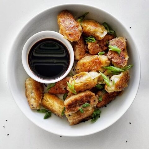 Easy pork potstickers